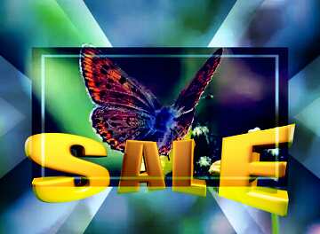 FX №198648 Flying butterfly Sales promotion 3d Gold letters sale background Template