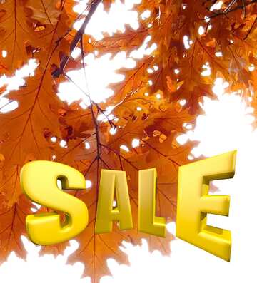 FX №198606  Autumn background Sale offer discount template Sales promotion 3d Gold letters