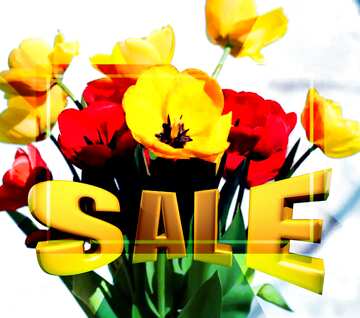 FX №198610 Tulips Sales promotion 3d Gold letters sale background Template