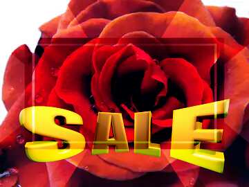 FX №198877  Rose flower Template frame Sales promotion 3d Gold letters sale background Template