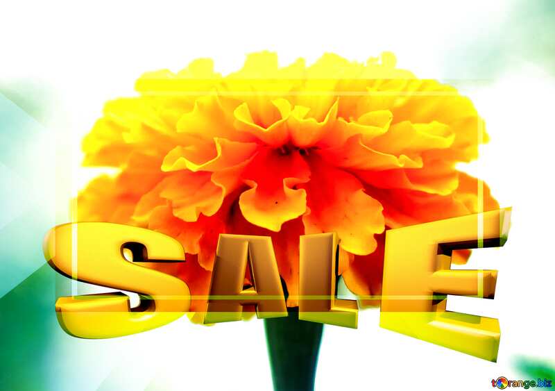  Sales promotion 3d Gold letters sale background Marigold Flower Template №33461