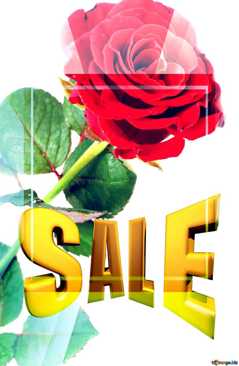 Red beautiful rose Sales promotion 3d Gold letters sale background Template №16891