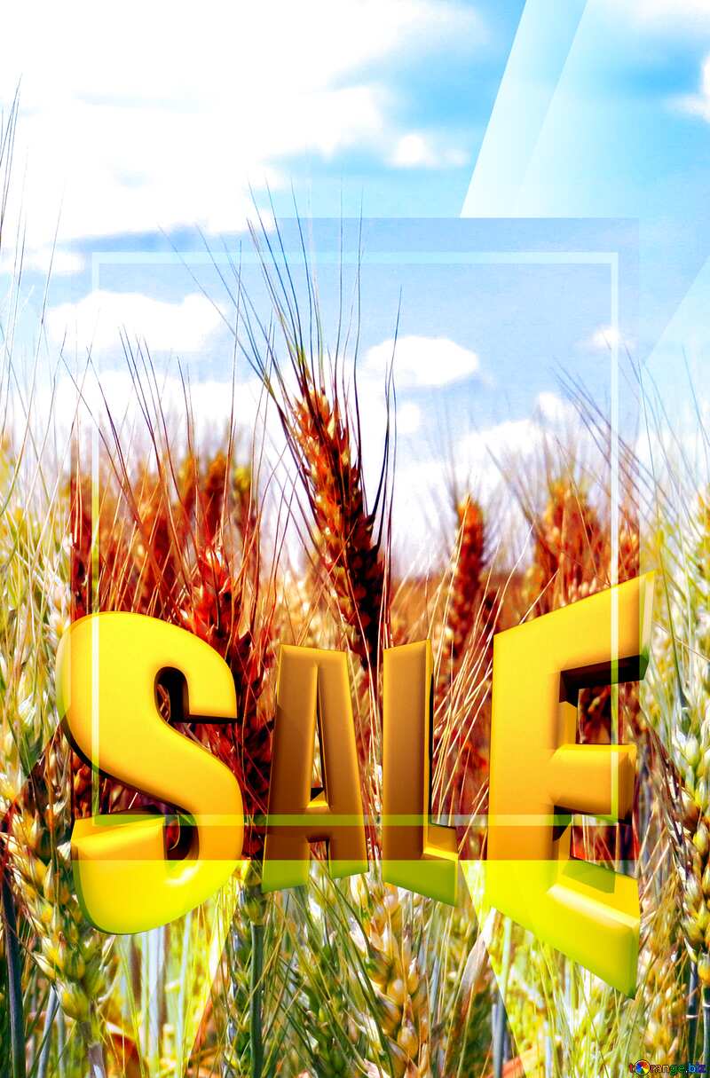 Field of wheat Sales promotion 3d Gold letters sale background Template №27271