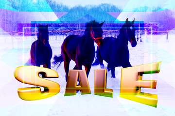 FX №199343  Three horses on snow Frame Design Template Illustration Sales promotion 3d Gold letters sale...