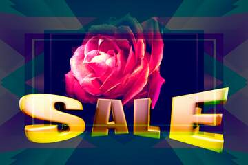 FX №199537  Fire Rose background Design Frame Illustration Template Sales promotion 3d Gold letters sale