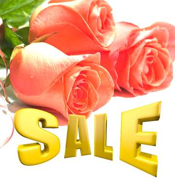 FX №199188  Sales promotion 3d Gold letters sale background Roses Template