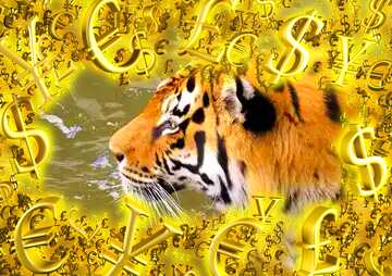 FX №199968 Beautiful tiger Gold money frame border 3d currency symbols business template