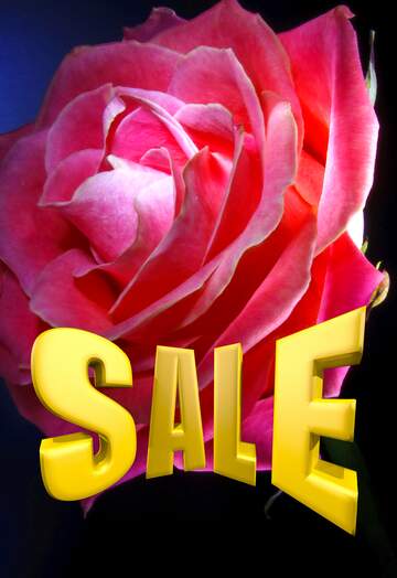FX №199182 Rose flower Sales promotion 3d Gold letters sale background