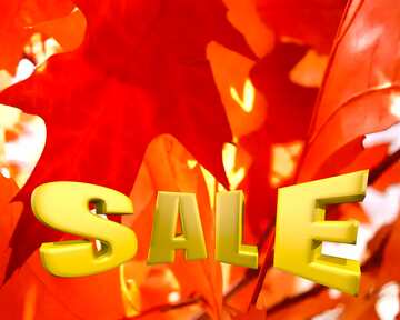 FX №199552 Autumn leaf Sales promotion 3d Gold letters sale background