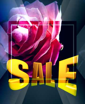 FX №199183 Rose flower Sales promotion 3d Gold letters sale background Template