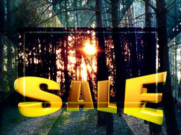 FX №199118 Evening in Forest Sales promotion 3d Gold letters sale background Template