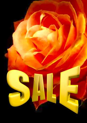FX №199539  Sales background Rose Flower Sale offer discount template promotion 3d Gold letters