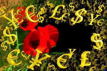 FX №199799  poppies flower template pattern Gold money frame border 3d currency symbols business template