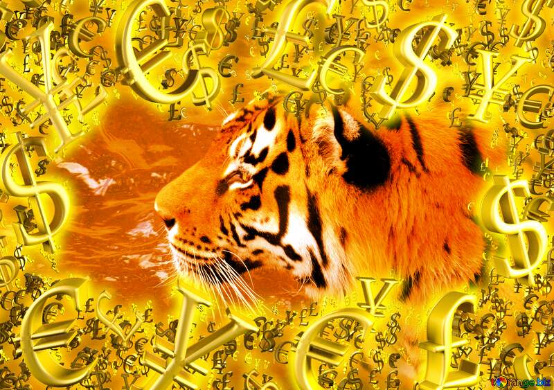  Gold money frame border 3d currency symbols business template Tiger Background №45019