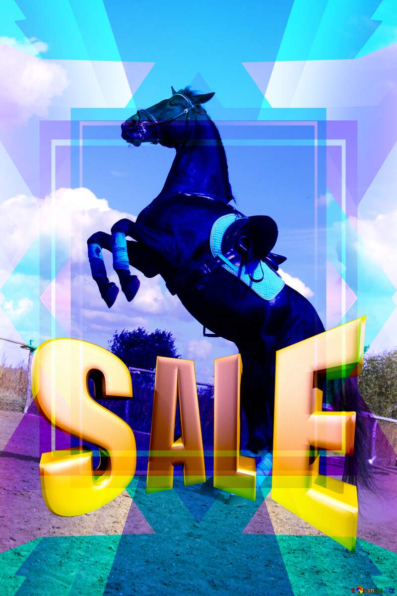  Dance Horse Infographic Template Sales promotion 3d Gold letters sale background №2540