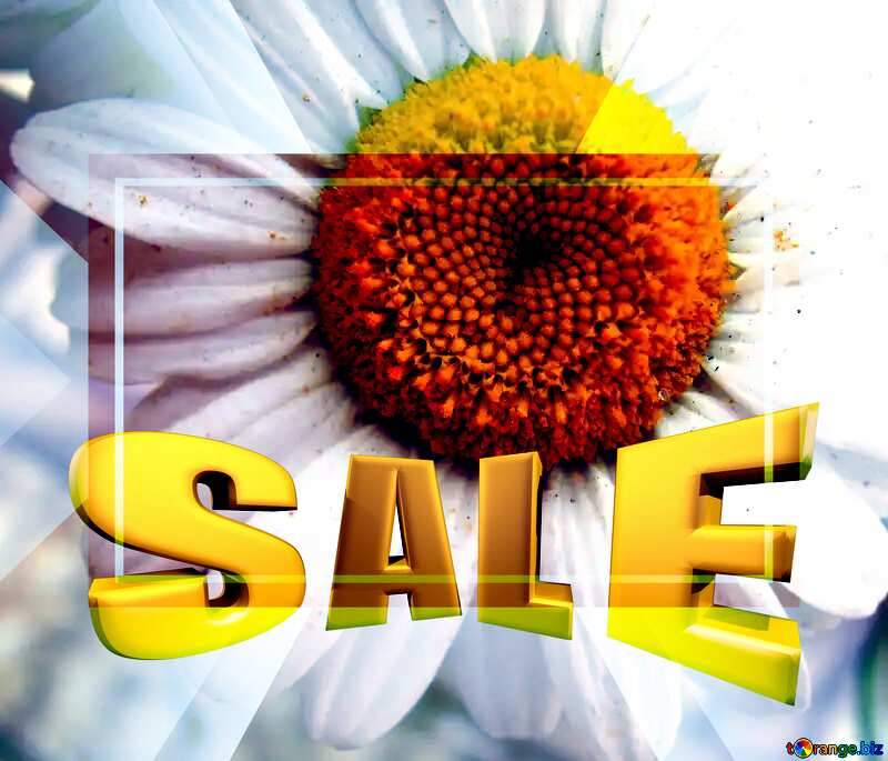 kostenloses-bild-herunterladen-chamomile-sales-promotion-3d-gold-letters-sale-background