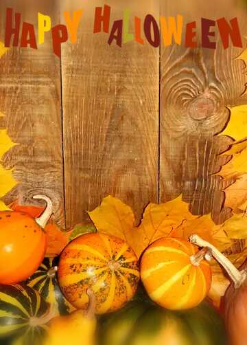 FX №2736 Autumn background happy halloween with pumpkins below 