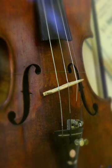 FX №2625 The best image. Antique violin.