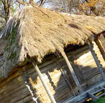 FX №2633 Old wooden house