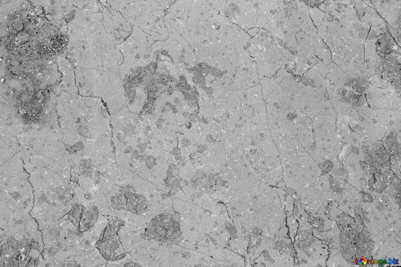 Monochrome. Texture stone tile. №26994