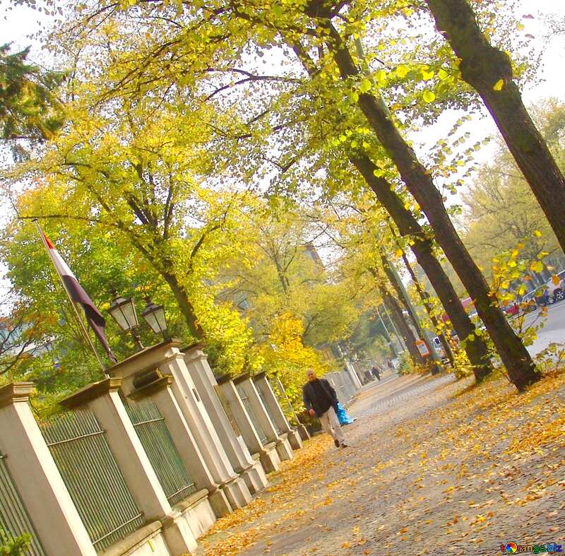 Image for profile picture Autumn. №11595