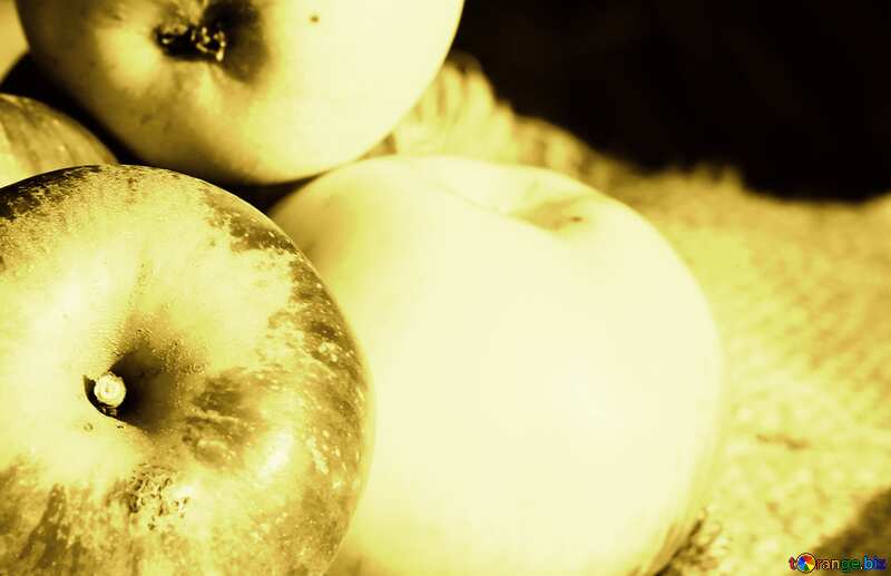 sepia apples on the table  №33545
