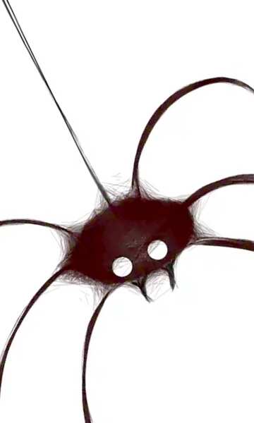 FX №20127 Image for profile picture Clipart for Halloween spider.