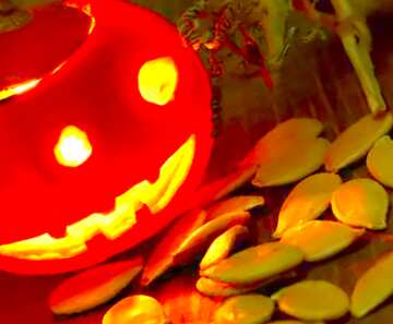 FX №20560 Image for profile picture Halloween little pumpkin with seeds.