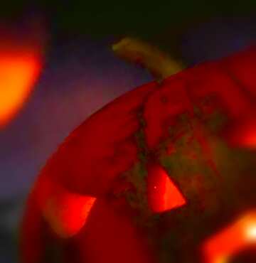 FX №20459 Image for profile picture Halloween pumpkin in the background of the moon.
