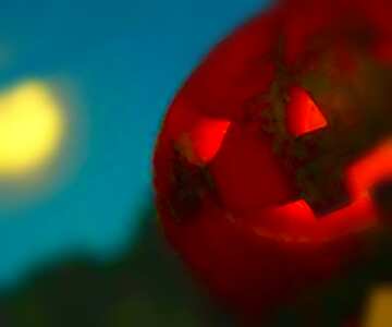 FX №20470 Image for profile picture Halloween pumpkin in the background of the moon.