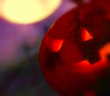 FX №20445 Image for profile picture Halloween pumpkin in the night sky with the moon.