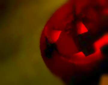 FX №20479 Image for profile picture Halloween pumpkin on a sunset background.