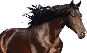 FX №20434 Image for profile picture Horse runs vector isolated.