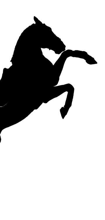 FX №20436 Image for profile picture Silhouette of a horse.
