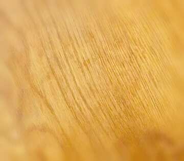 FX №20290 Image for profile picture Wood texture.