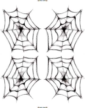 FX №20123 Texture. Clipart for Halloween Spider Web.