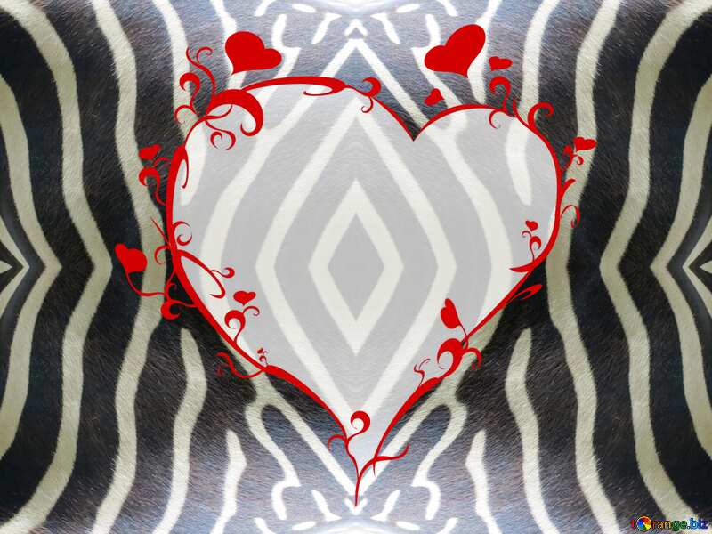 The best image. Texture patterns zebra. №45108