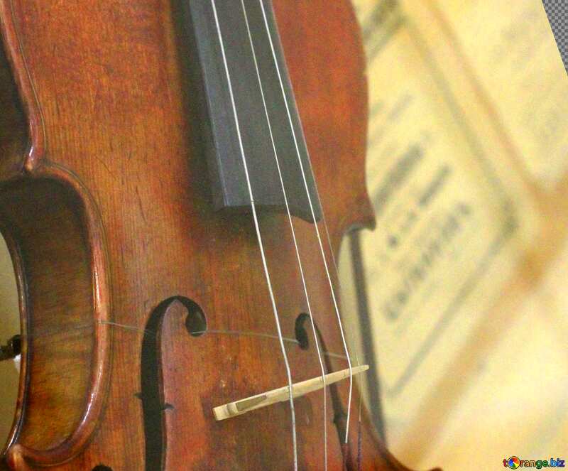 Cover. Violin. №44204