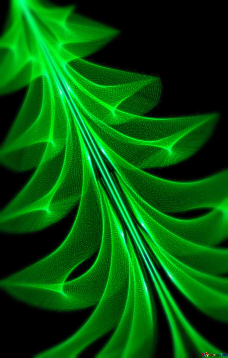 Image for profile picture Christmas tree. №40654
