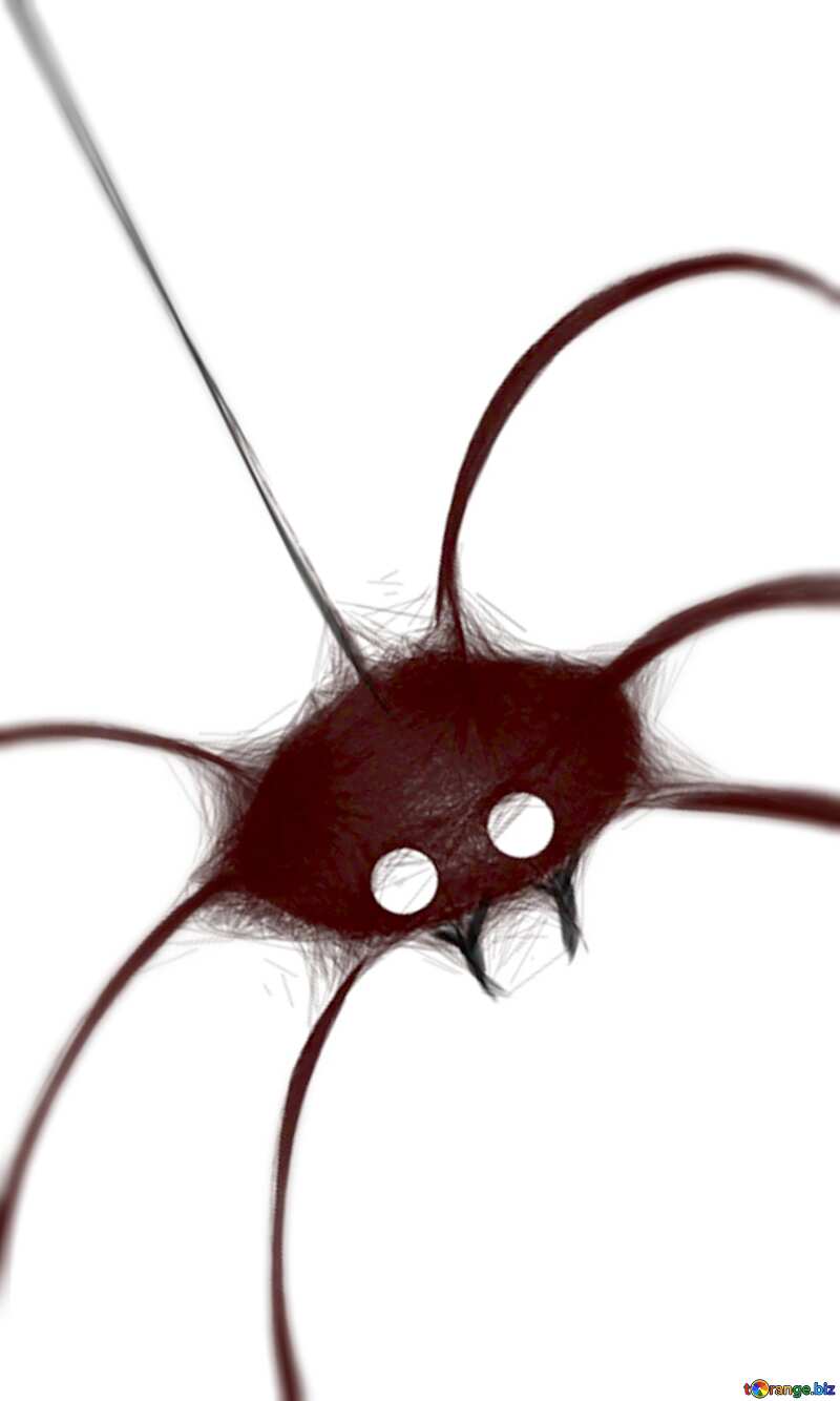 Image for profile picture Clipart for Halloween spider. №40486