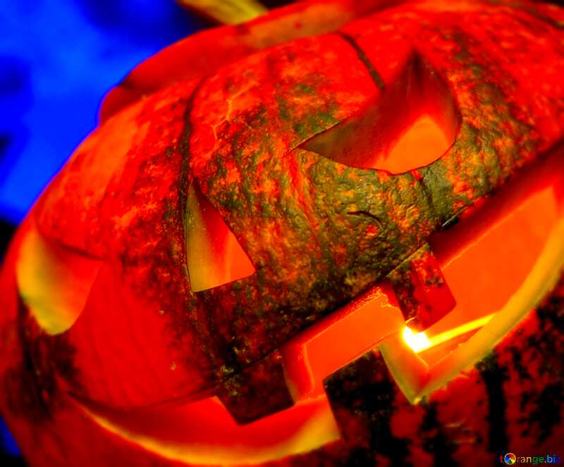 Image for profile picture Halloween pumpkin. №46196