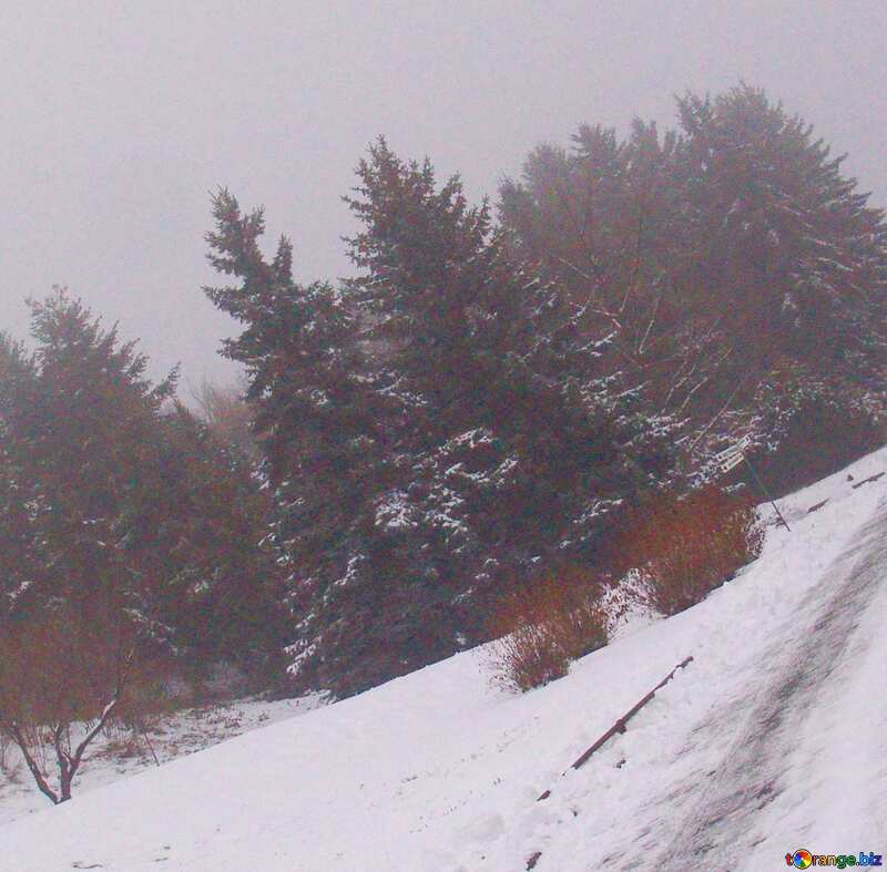 Image for profile picture Path in the park in winter. №400