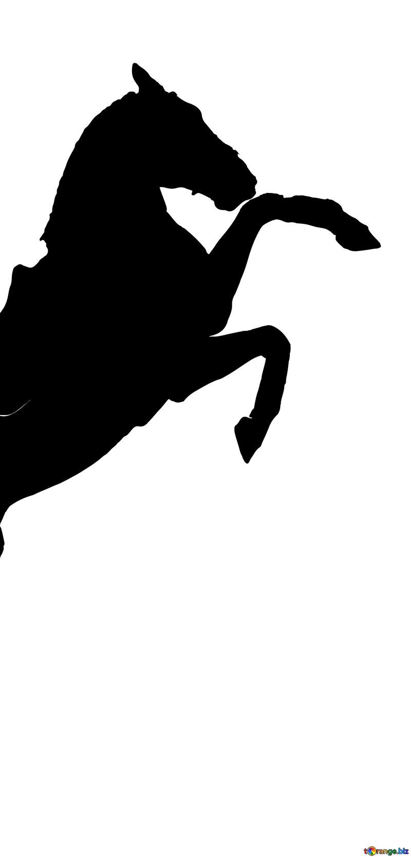 Image for profile picture Silhouette of a horse. №46154