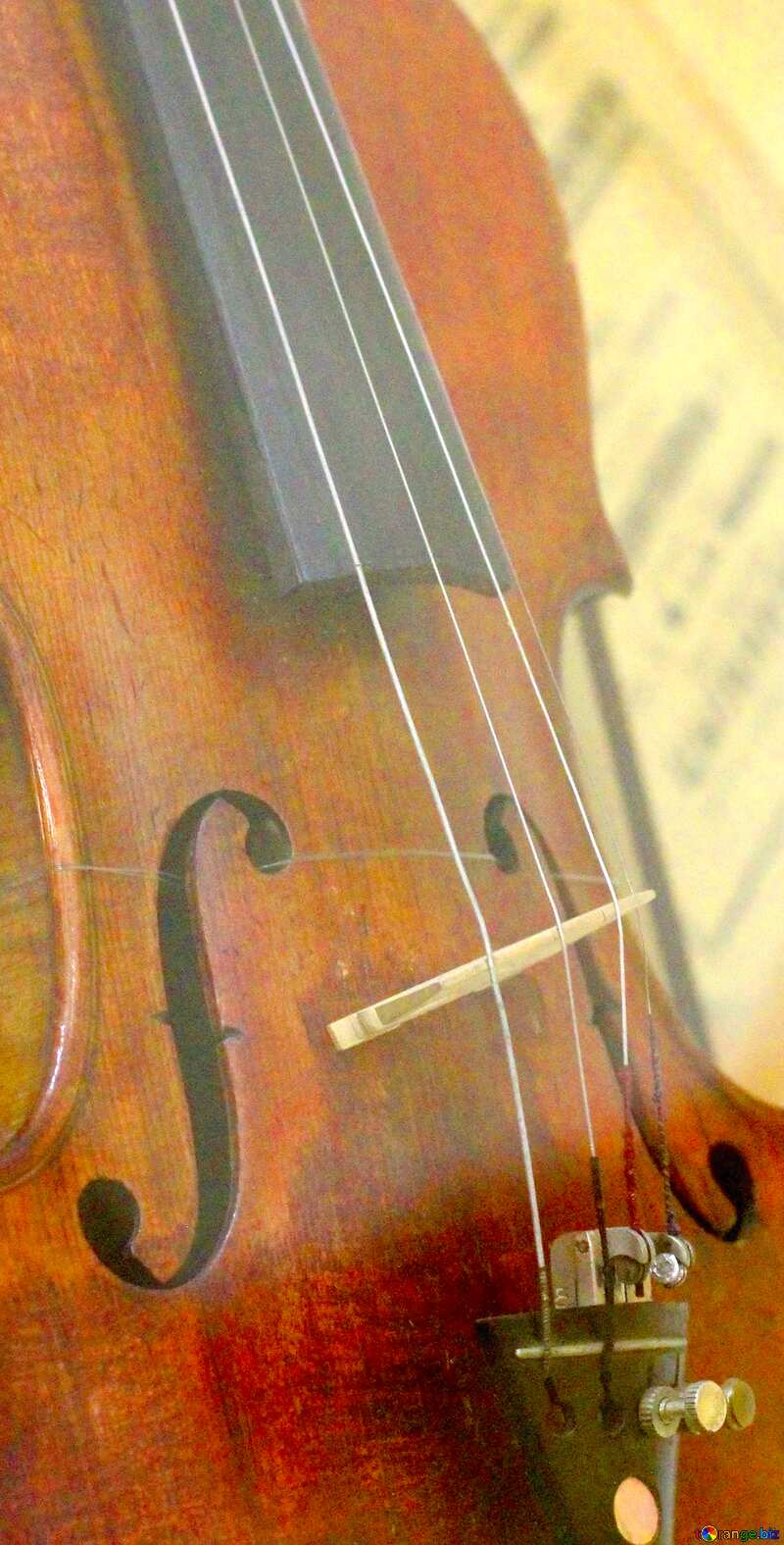 Image for profile picture Violin. №44204