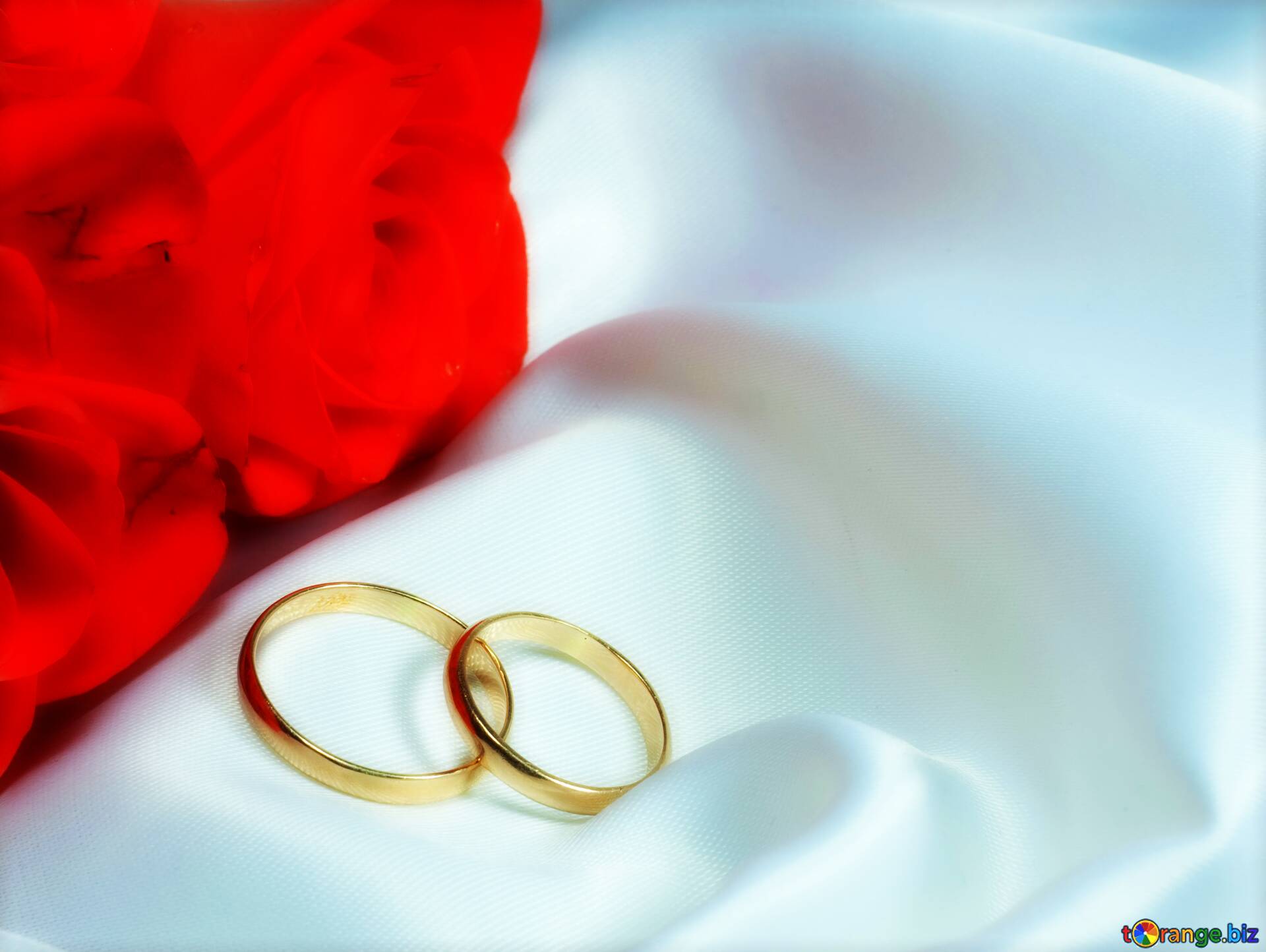 Luxurious wedding background design. Two white gold engagement rings with  diamonds on white satin Stock Photo by mmoskalyuk160462