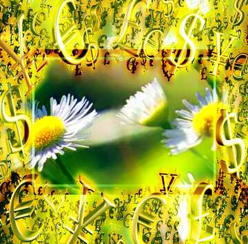 FX №200243 Daisies wallpaper on the desktop Gold money frame border 3d currency symbols business template