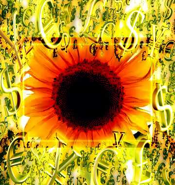 FX №200271  Flower sunflower isolated Sales promotion 3d Gold letters sale background Template Gold money...