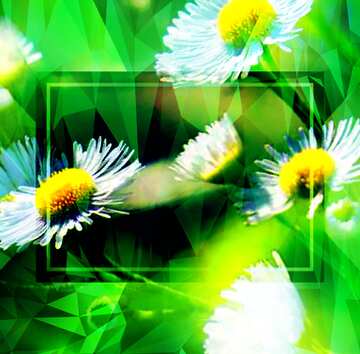 FX №200980 Daisies flowers border frame template Polygon background with triangles