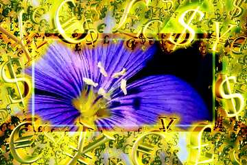 FX №200259  Sales flower Template Gold money frame border 3d currency symbols business template