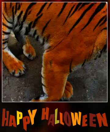 FX №200481 happy halloween tiger frame